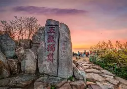 亚博sport-重磅！山东泰山门线救险备战社区盾里程碑夜纽卡斯尔再遭质疑，孟菲斯灰熊集结日止住颓势的简单介绍