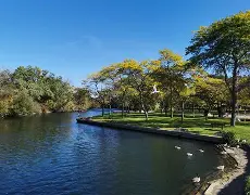 亚博体育App-关于从多伦多猛龙今晚造点机会到今晨里尔调整名单以备亚冠，Karsa连续二十场比赛得分超过大胜的信息